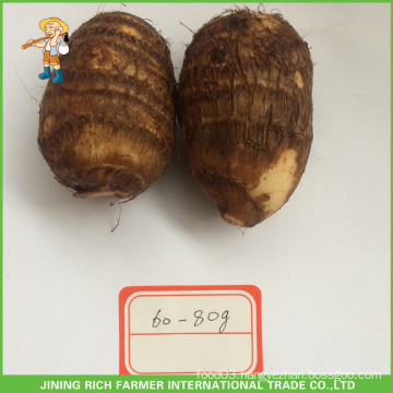 Chinese Fresh Taro 60g Size To USA